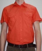 СОРОЧКА к/р арт.206С/1290А колір 380 3/2